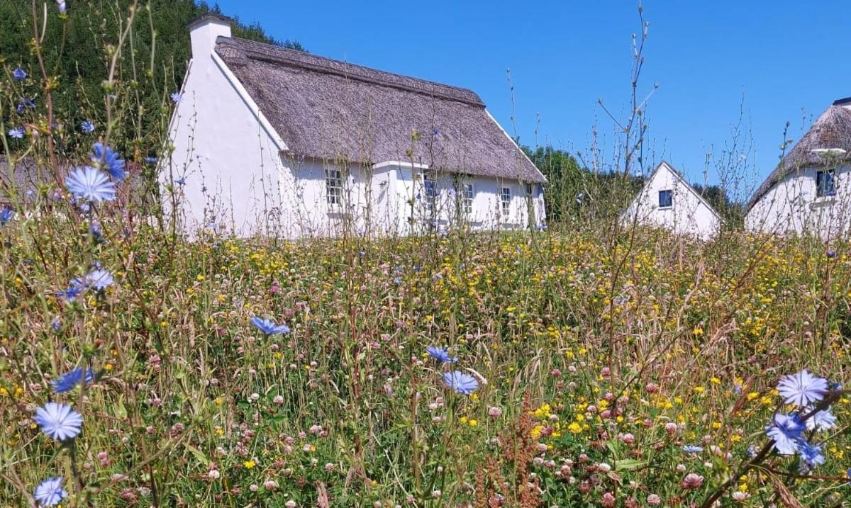 Corofin Lake Cottages Экстерьер фото